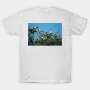 Roseate Spoonbills T-Shirt